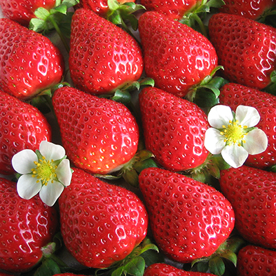 example-image